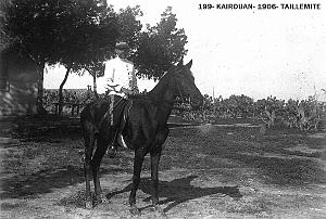 199- Kairouan-1906- Taillemite